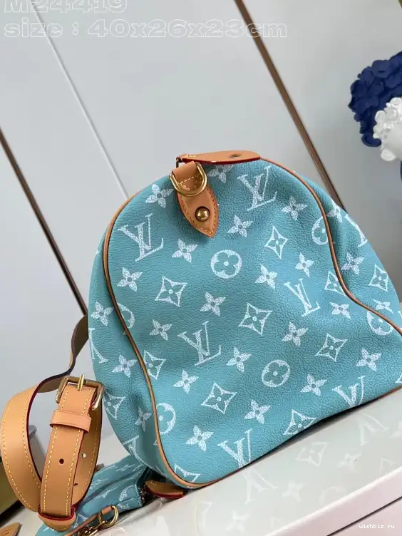 WIS SPEEDY Louis Vuitton 40 0704